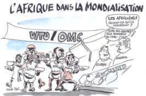 Article : Après l’attaque meurtrière contre Charlie Hebdo à Paris : Le cri de cœur des dessinateurs de presse camerounais