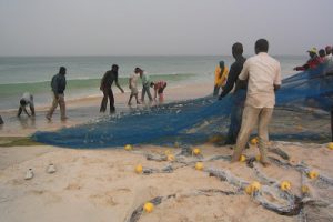 "Cessez la pêche illicite"