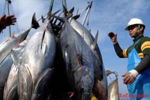 "Les Chinois à la manœuvre"