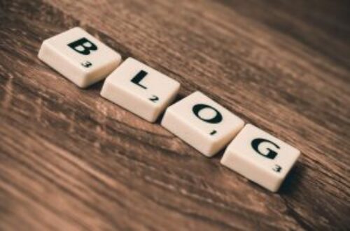 Article : Les blogueurs camerounais déroulent le tapis rouge à leurs lecteurs