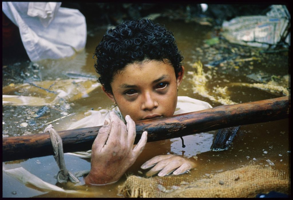 Article : Guignol du Net : Les tocards