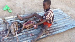 Article : Nord du Cameroun : ces images des orphelins victimes du terrorisme m’ont arraché une larme