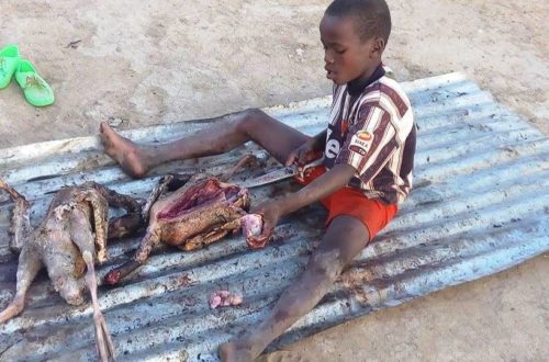 Article : Nord du Cameroun : ces images des orphelins victimes du terrorisme m’ont arraché une larme