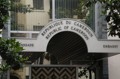 Article : Les ambassadeurs camerounais à l’étranger